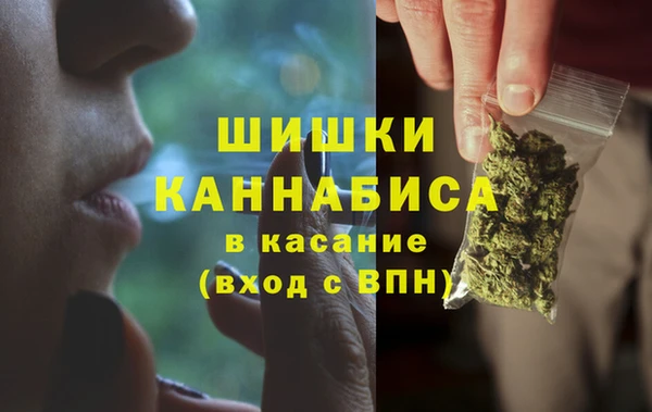 spice Верея