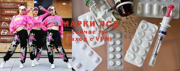 spice Верея
