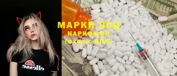 spice Верея